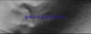 宠物诊所是宠物医院吗