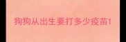 狗狗从出生要打多少疫苗