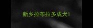 新乡拉布拉多成犬