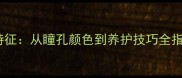 哈士奇黄金眼特征从瞳孔颜色到养护技巧全指南宠物知识库