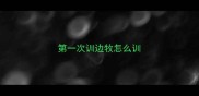第一次训边牧怎么训