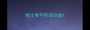 哈士奇不听话训练