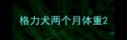 格力犬两个月体重