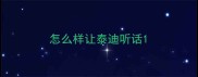 怎么样让泰迪听话