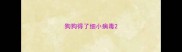 狗狗得了细小病毒