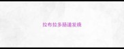 拉布拉多肠道发烧