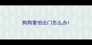 狗狗害怕出门怎么办