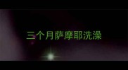 三个月萨摩耶洗澡