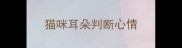 猫咪耳朵判断心情