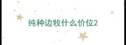 纯种边牧什么价位