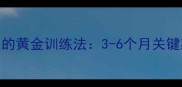 哈士奇幼犬期不乱拉屎的黄金训练法3-6个月关键期与5大科学训练技巧