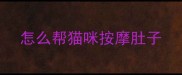 怎么帮猫咪按摩肚子