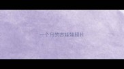 一个月的吉娃娃照片