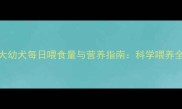 3个月大幼犬每日喂食量与营养指南科学喂养全攻略