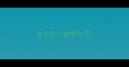 金毛多大能憋住尿