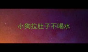 小狗拉肚子不喝水
