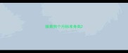 狼青狗个月标准身高