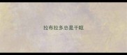 拉布拉多总是干呕