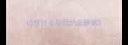 边牧什么原因的皮肤病