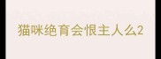 猫咪绝育会恨主人么