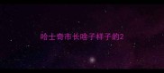 哈士奇市长啥子样子的