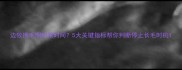 边牧换毛期结束时间5大关键指标帮你判断停止长毛时机