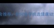 北京优质拉布拉多犬舍推荐如何科学挑选健康幼犬及科学饲养全攻略