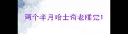 两个半月哈士奇老睡觉