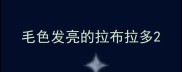 毛色发亮的拉布拉多