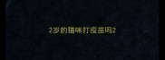 2岁的猫咪打疫苗吗