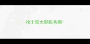 哈士奇大腿脱毛癣