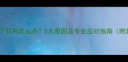 拉布拉多吐了狂叫怎么办5大原因及专业应对指南附急救方案