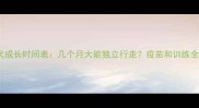 比格犬成长时间表几个月大能独立行走疫苗和训练全攻略