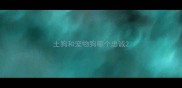 土狗和宠物狗哪个忠诚