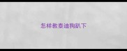 怎样教泰迪狗趴下