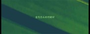金毛怎么补钙最好