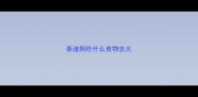 泰迪狗吃什么食物去火