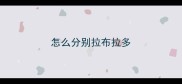 怎么分别拉布拉多