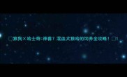 狼狗哈士奇神兽混血犬狼哈的饲养全攻略