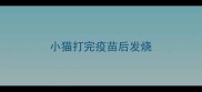 小猫打完疫苗后发烧