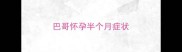 巴哥怀孕半个月症状