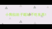 小狗拉肚子呕吐不吃东西