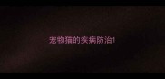 宠物猫的疾病防治