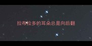 拉布拉多的耳朵总是向后翻