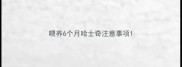 喂养6个月哈士奇注意事项