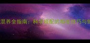 边牧和雪纳瑞混养全指南科学搭配的相处技巧与健康管理秘籍