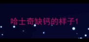 哈士奇缺钙的样子