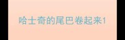 哈士奇的尾巴卷起来