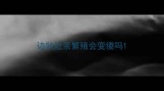 边牧近亲繁殖会变傻吗
