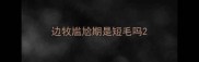 边牧尴尬期是短毛吗